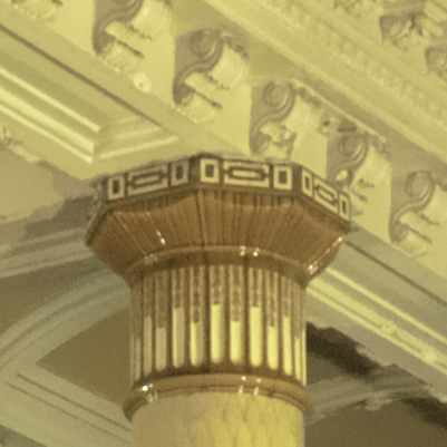 Detail at 1:1 of the image processed in darktable